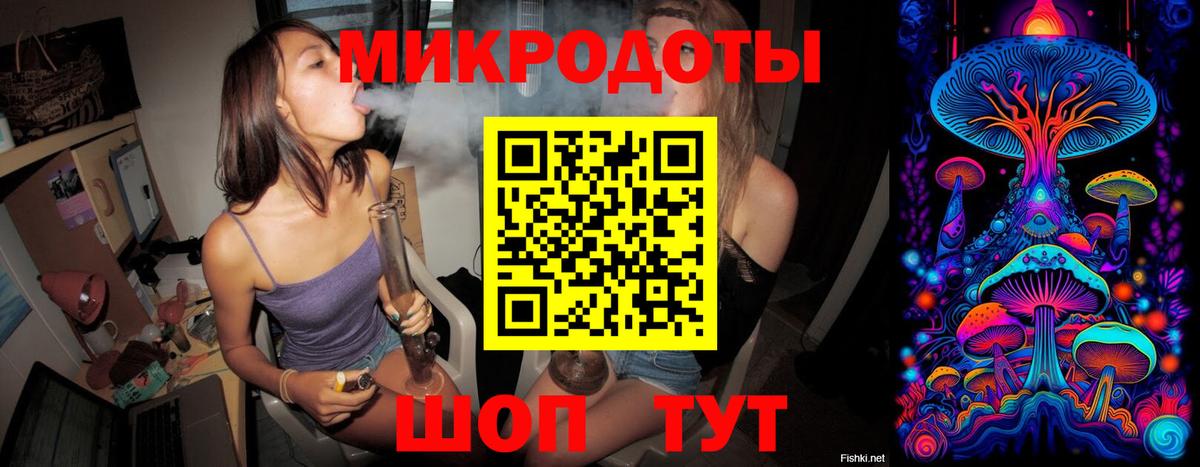 Псилоцибиновые грибы мицелий Ростов-на-Дону