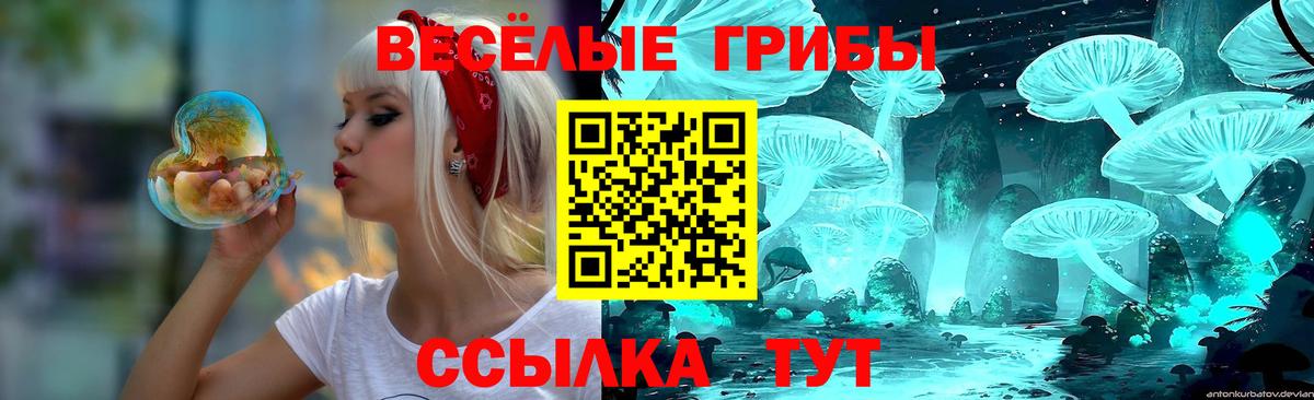 Галлюциногенные грибы Cubensis  Вход с VPN  Ростов-на-Дону 